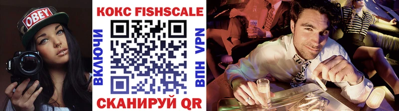 Cocaine FishScale  hydra сайт  Отрадная 