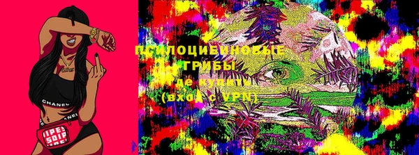 таблы Новокубанск
