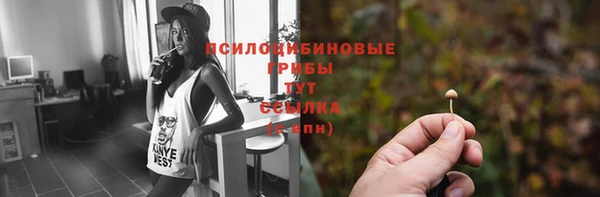 метадон Няндома