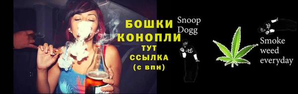 метадон Няндома