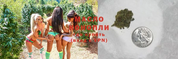 метадон Няндома